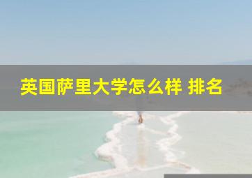 英国萨里大学怎么样 排名